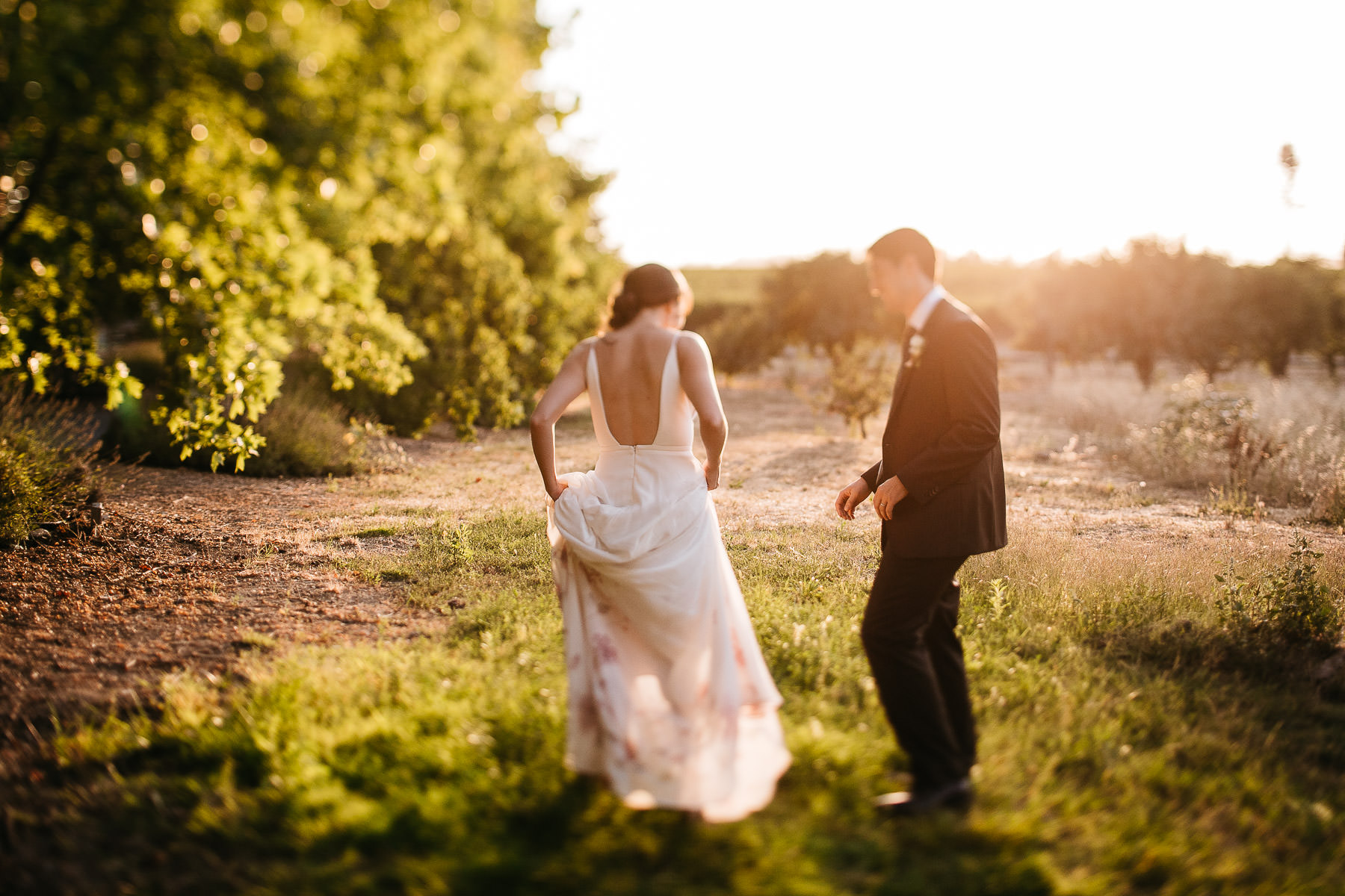 sebastopol-ca-summer-wedding-116