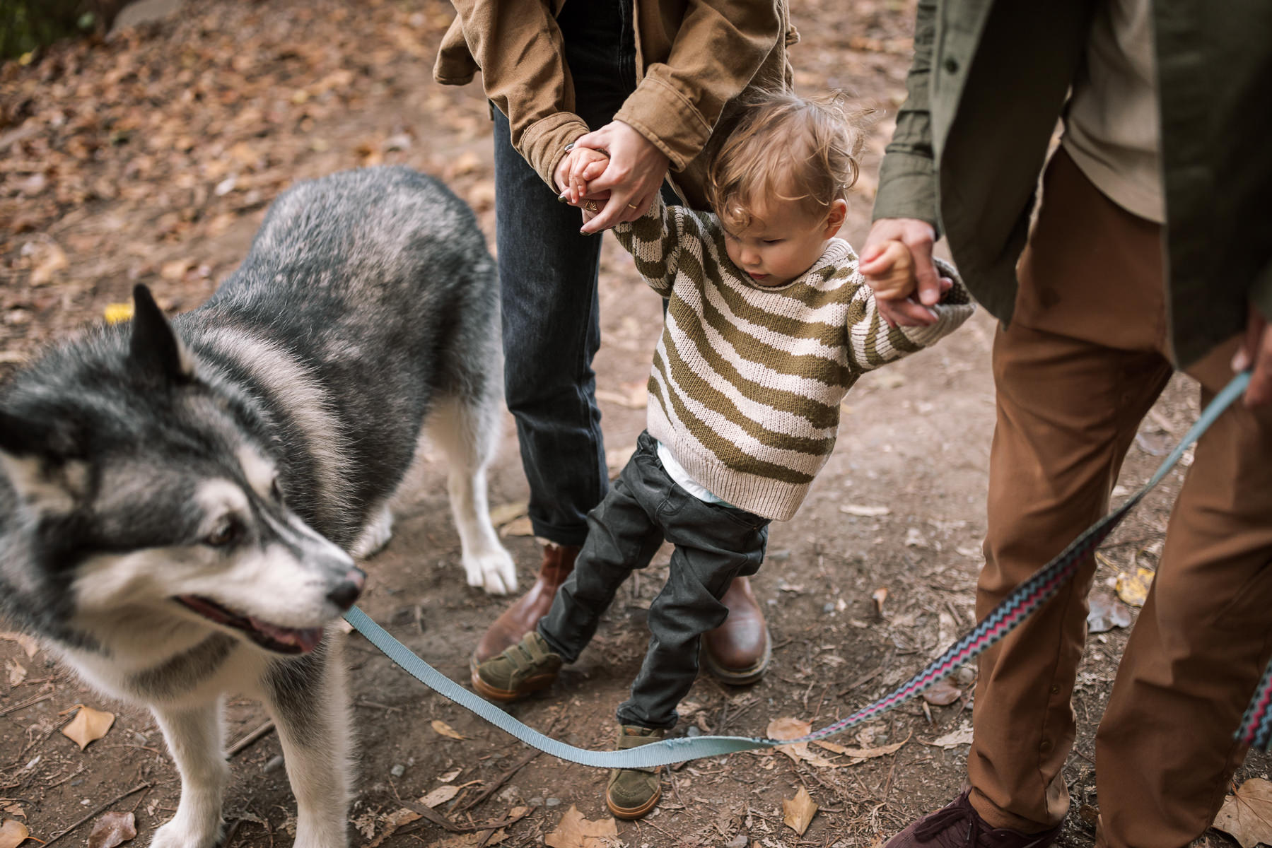 pacifica-eucalyptus-fall-family-lifestyle-session-44