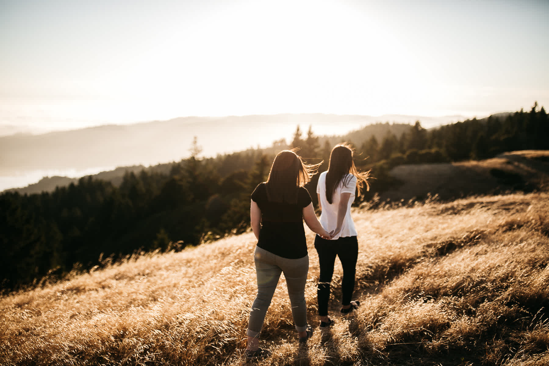 mt-tam-sunset-engagement-session-with-boxer-lab-dogs-31