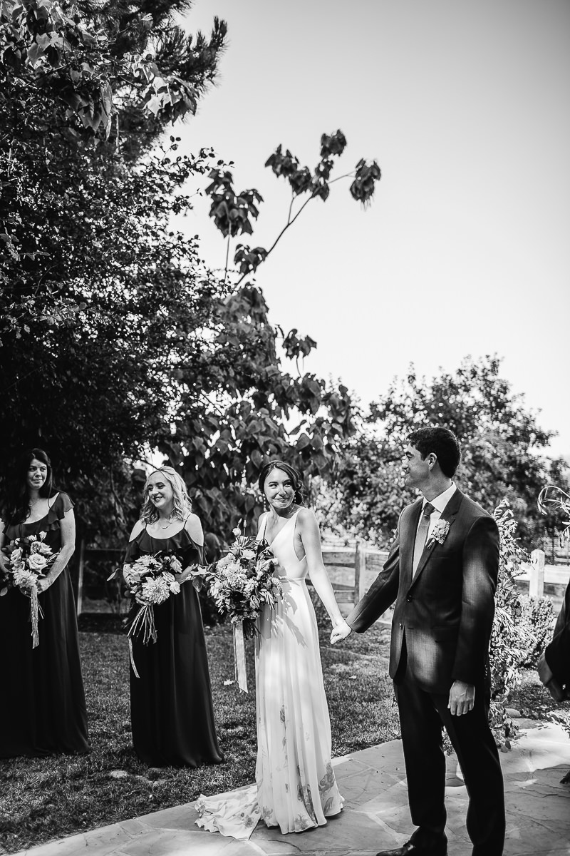 sebastopol-ca-summer-wedding-68
