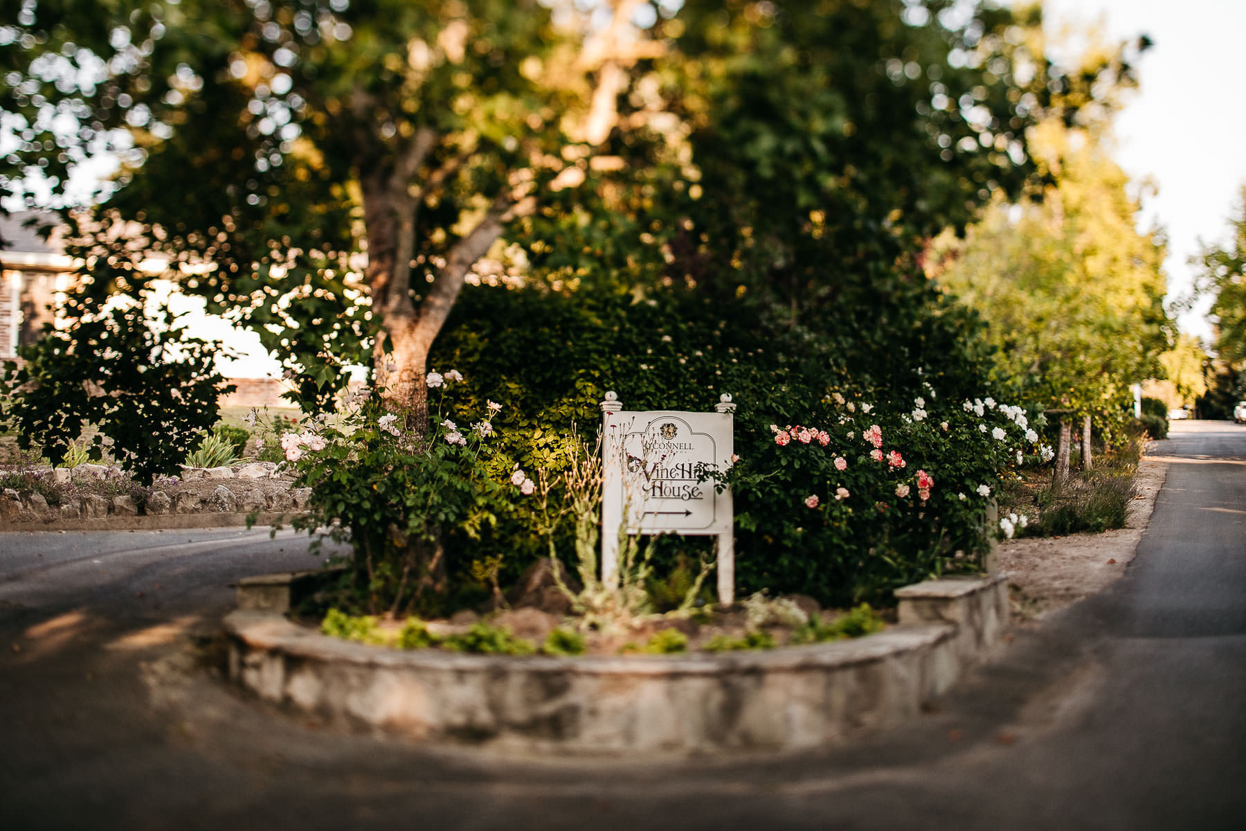 sebastopol-ca-summer-wedding-9