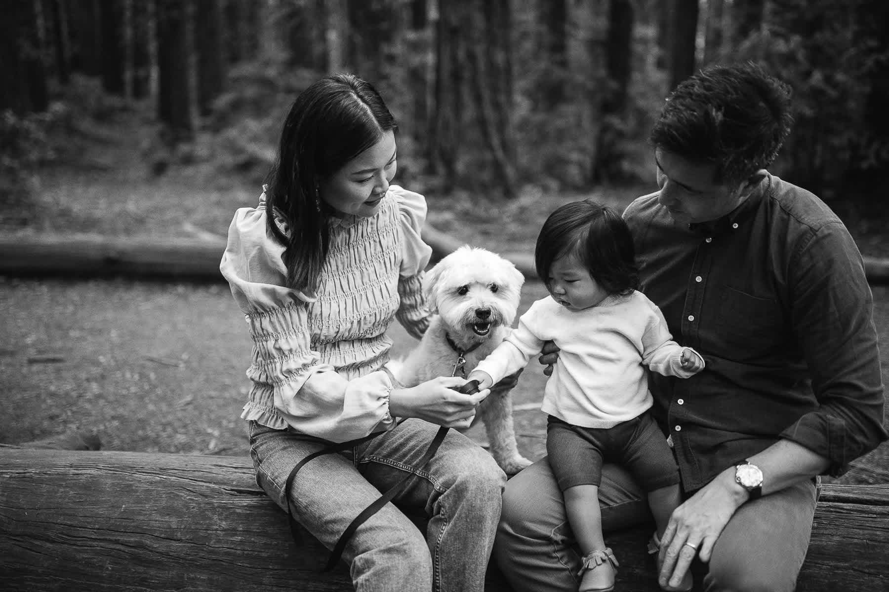 oakland-redwoods-lifestyle-first-birthday-session-13