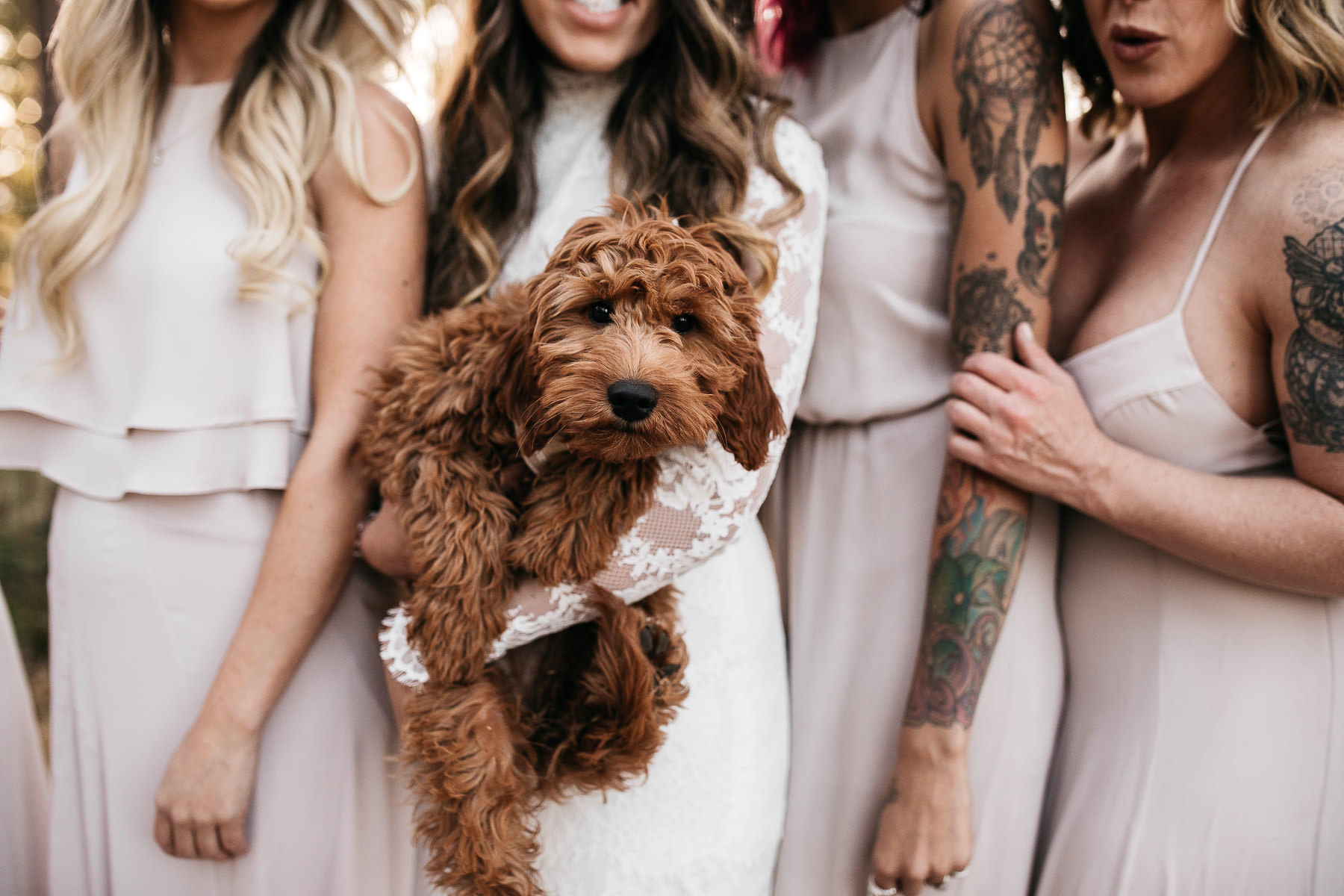 yosemite-rush-creek-fall-wedding-goldendoodle-63