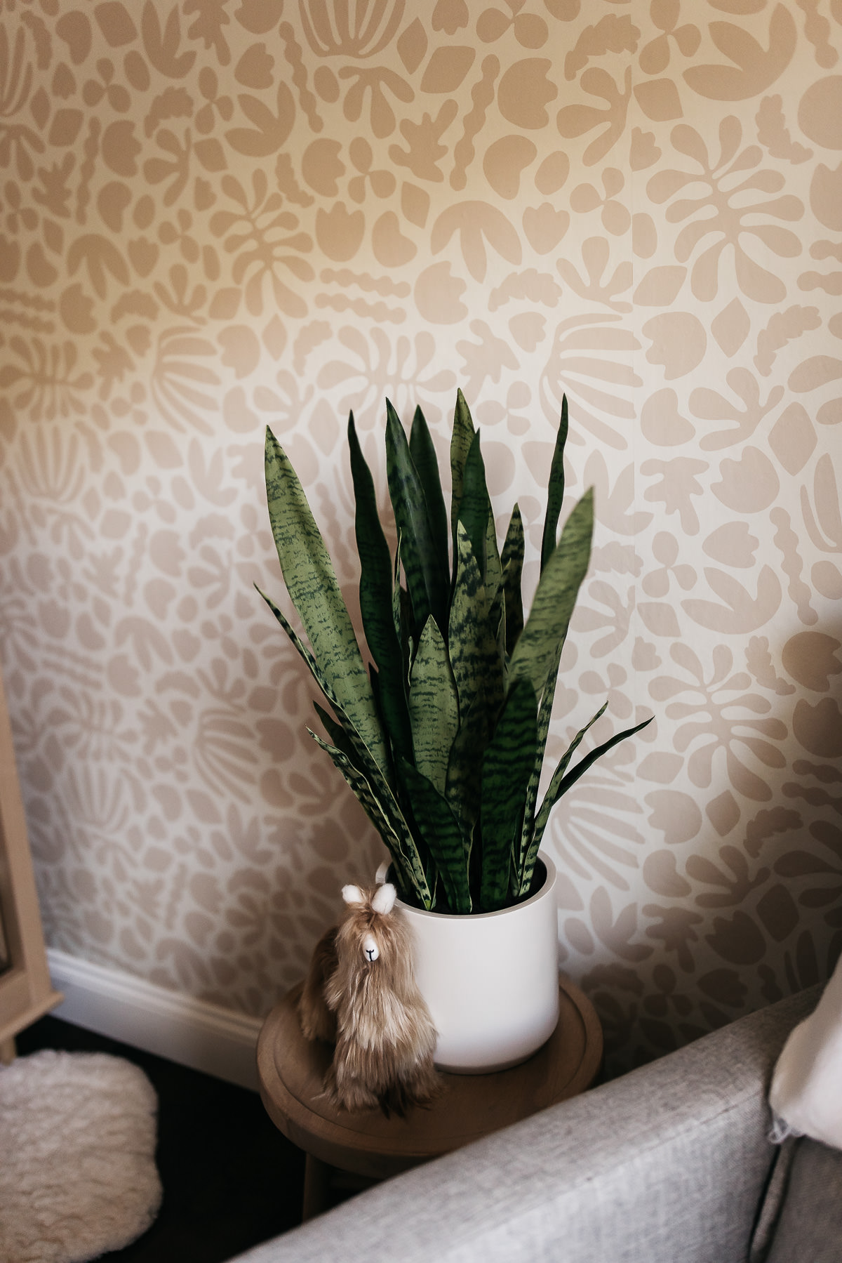 mountain-view-in-home-lifestyle-newborn-session-1