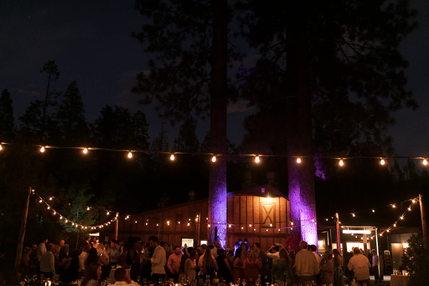 Evergreen-Lodge-Yosemite-Summer-wedding-237