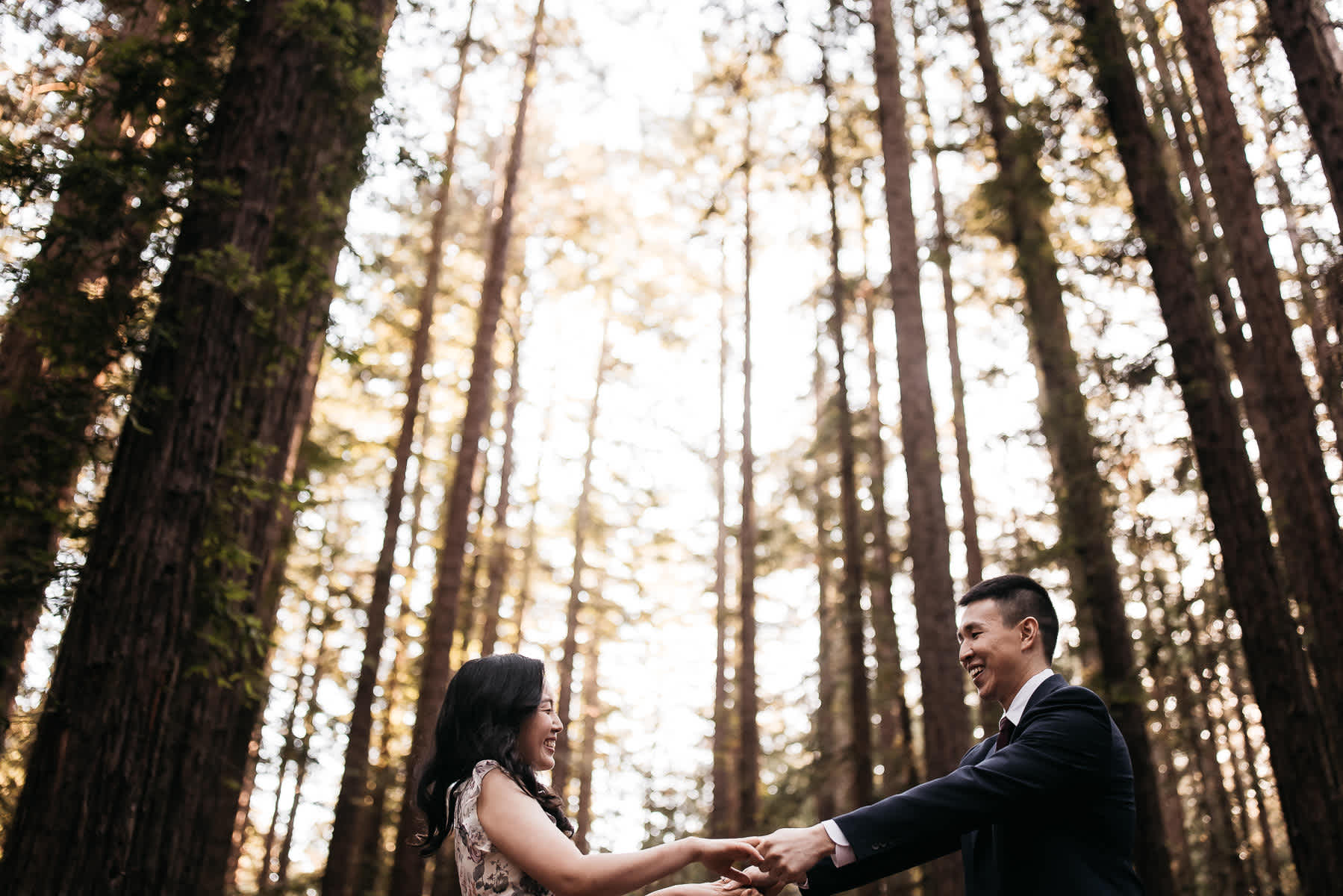 redwoods-coastal-pampas-grass-lifestyle-engagement-session-with-pups-20