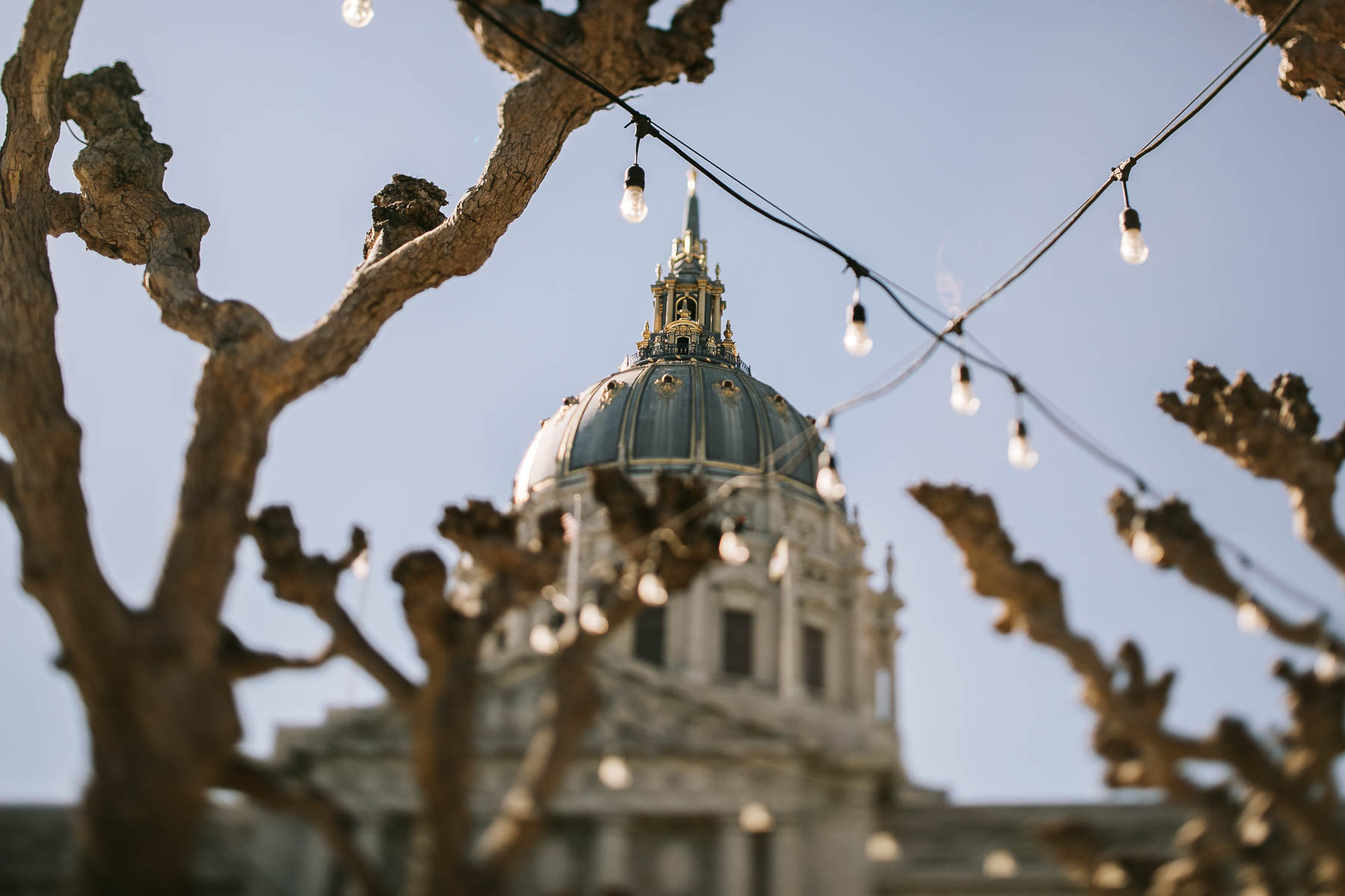 sf-city-hall-redwoods-elopement-with-shiba-dog