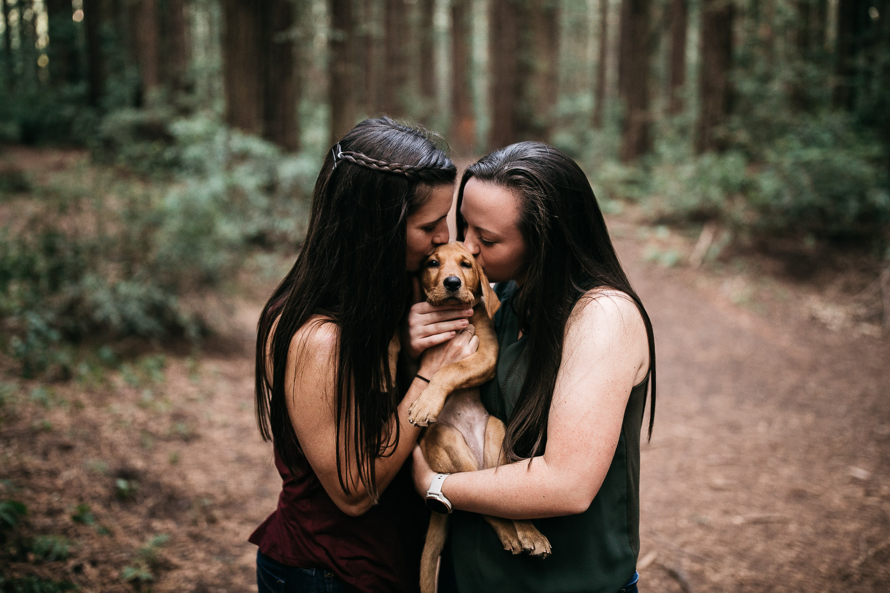 oakland-redwoods-new-puppy-session-labrador-22