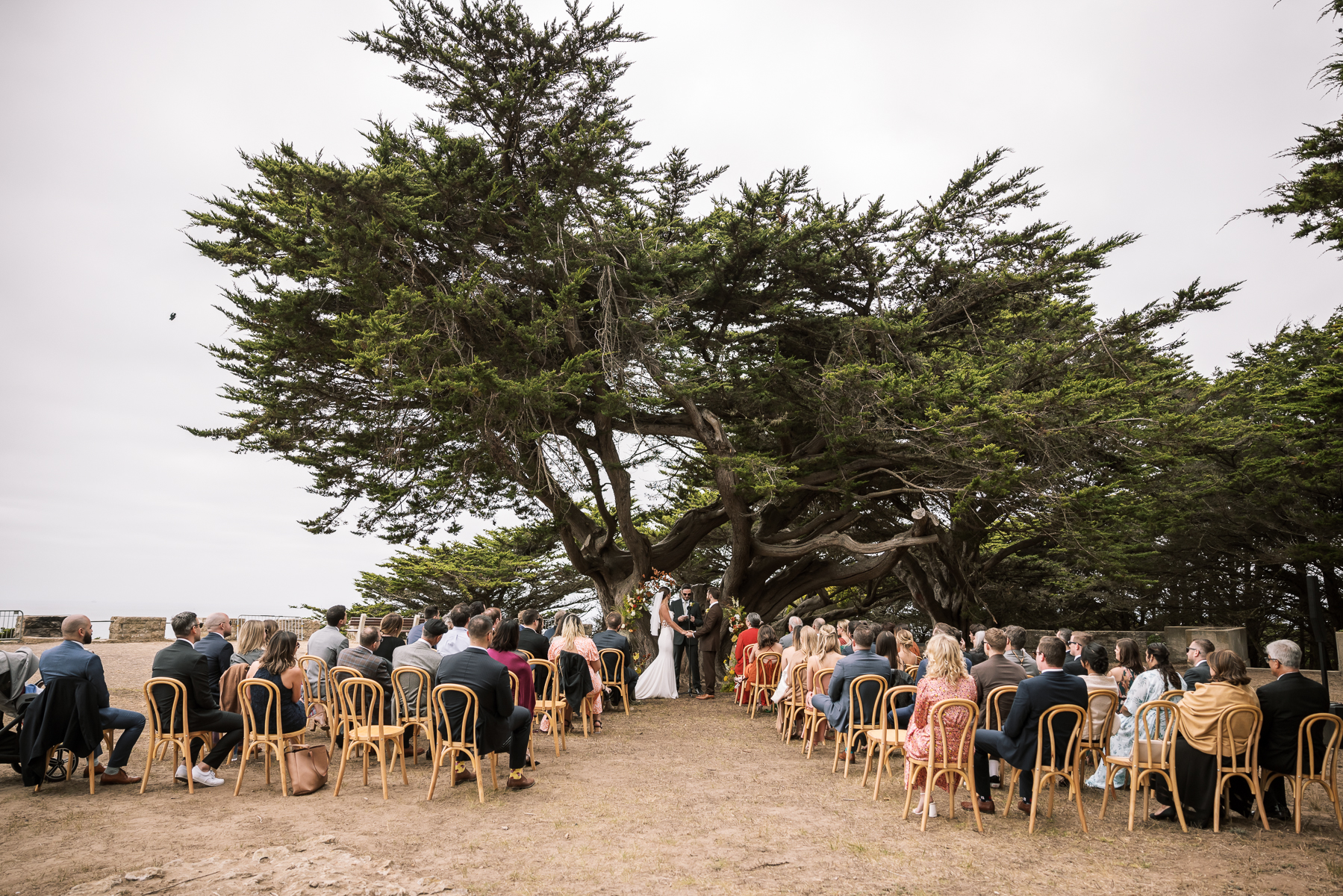 san-francisco-presidio-urban-wedding-trolley-ride-94