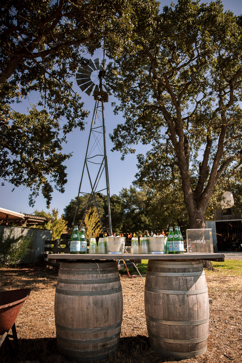 Monkey-ranch-petaluma-golden-hills-wedding-36