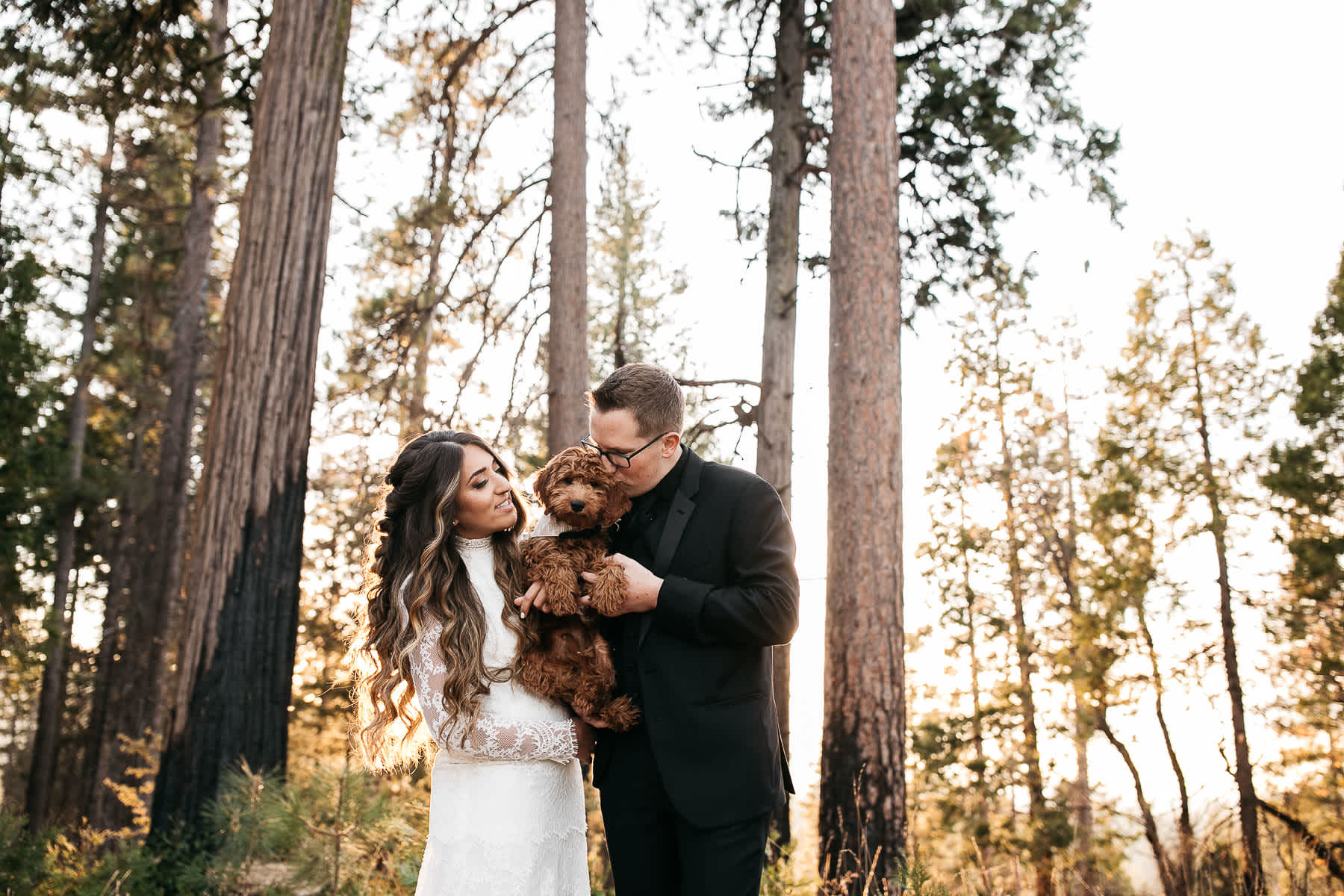 yosemite-rush-creek-fall-wedding-goldendoodle-76