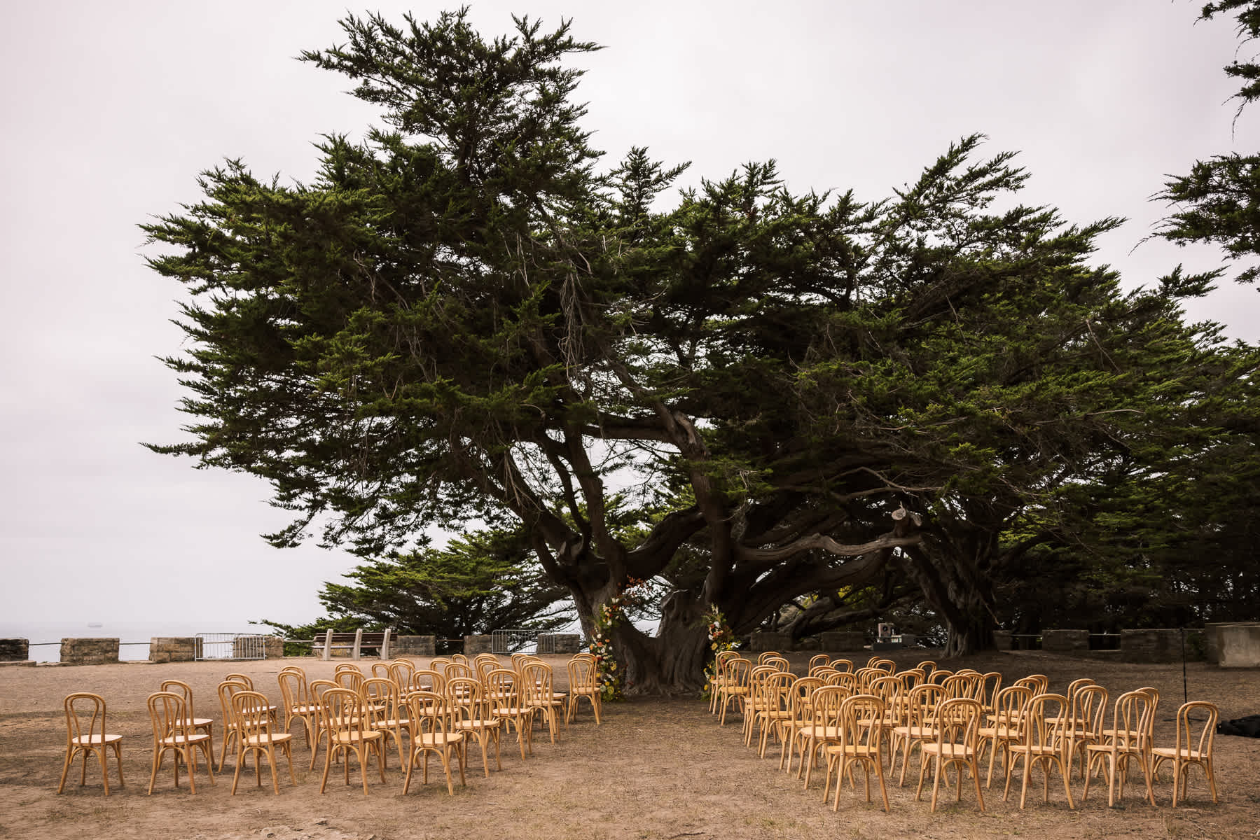 san-francisco-presidio-urban-wedding-trolley-ride-74