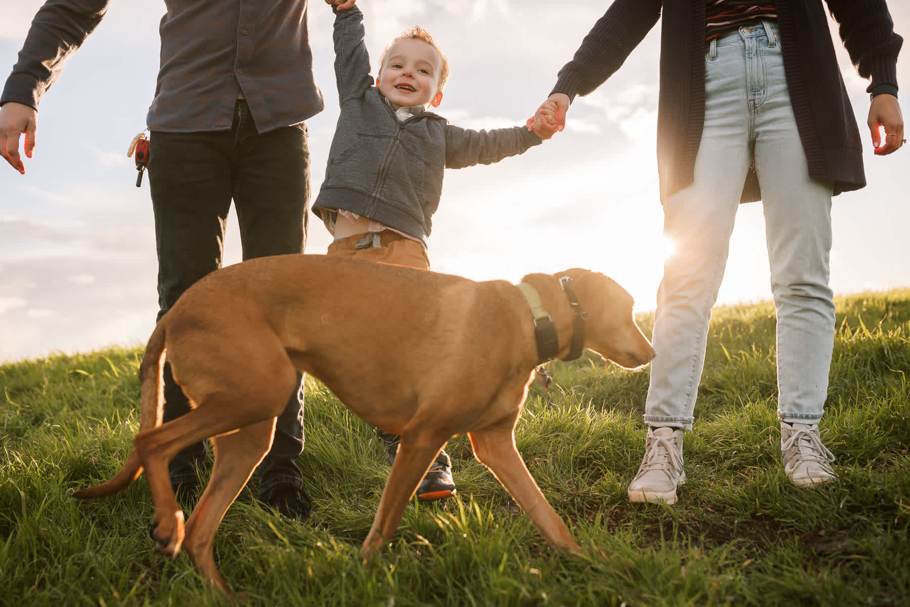 oakland-green-hills-winter-family-lifestyle-session-70