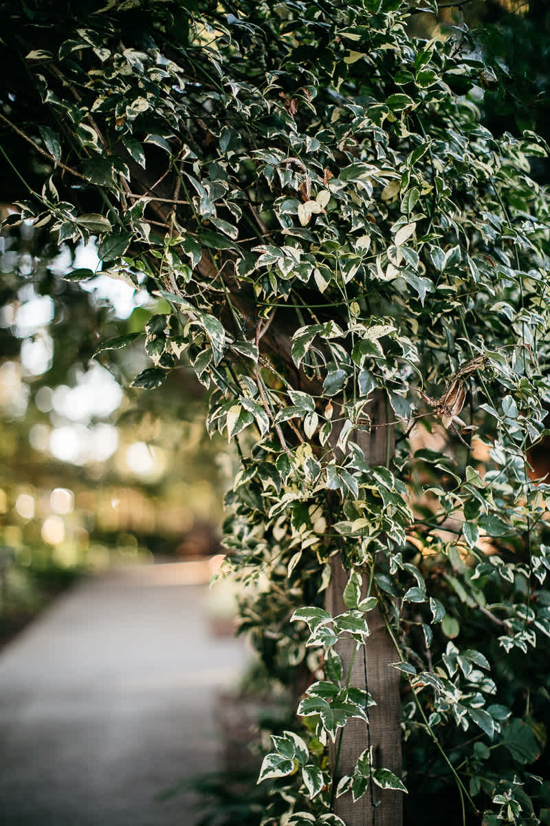 mountain-view-ca-catholic-church-wedding-los-altos-reception-98