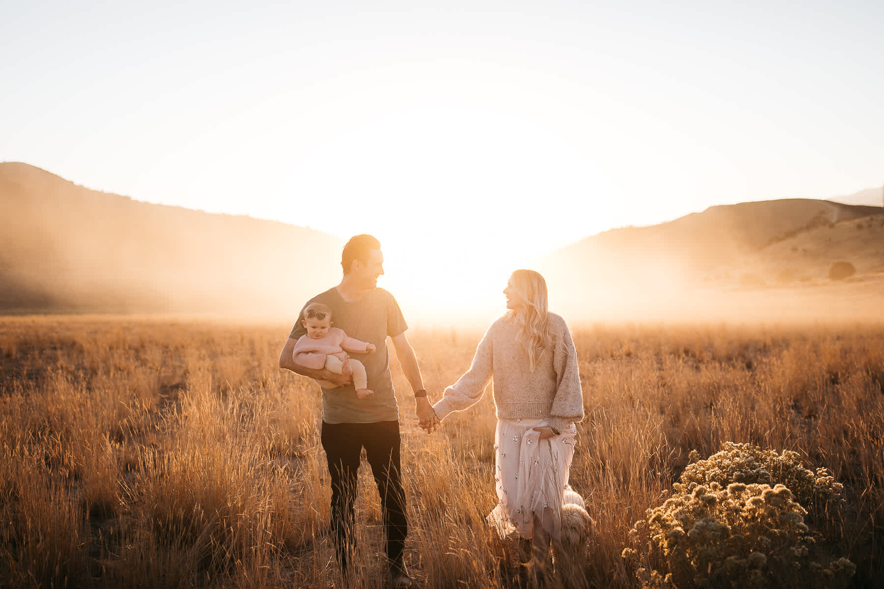 golden-hills-sunset-lifestyle-session-family-with-goldendoodle-36