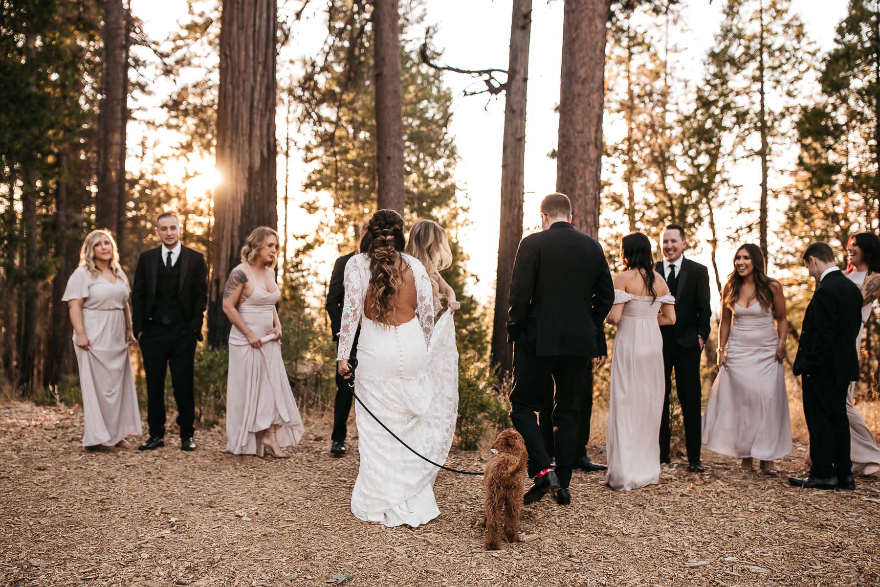 yosemite-rush-creek-fall-wedding-goldendoodle-64