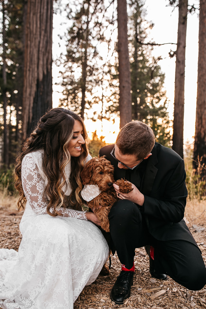 yosemite-rush-creek-fall-wedding-goldendoodle-81