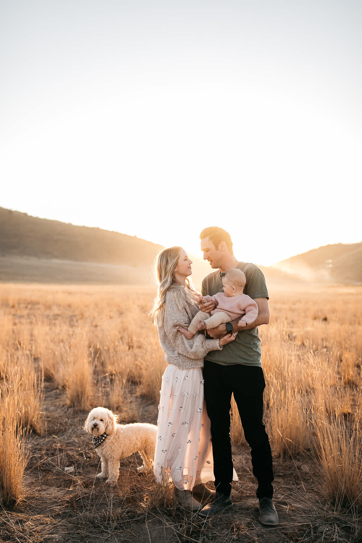 golden-hills-sunset-lifestyle-session-family-with-goldendoodle-24