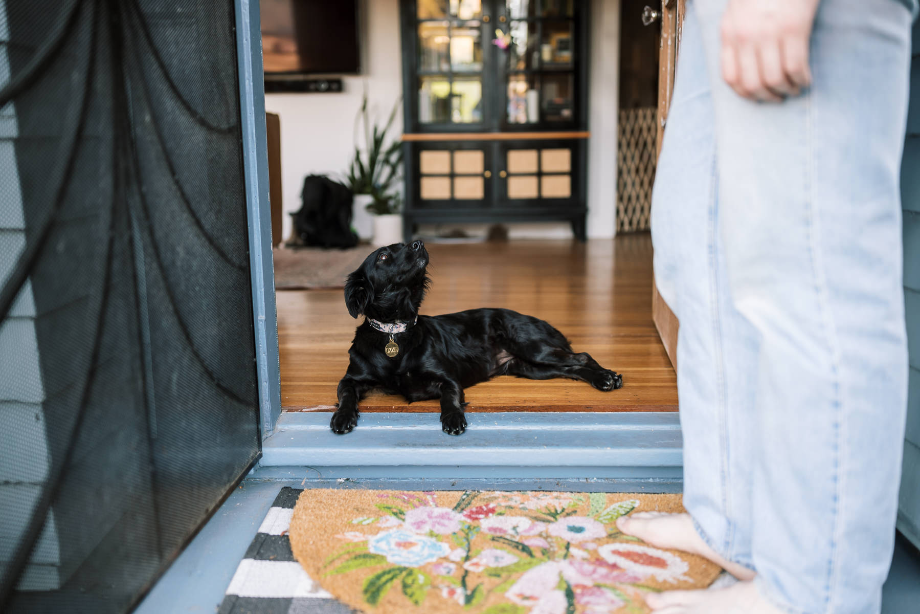 oakland-hills-in-home-engagement-session-45