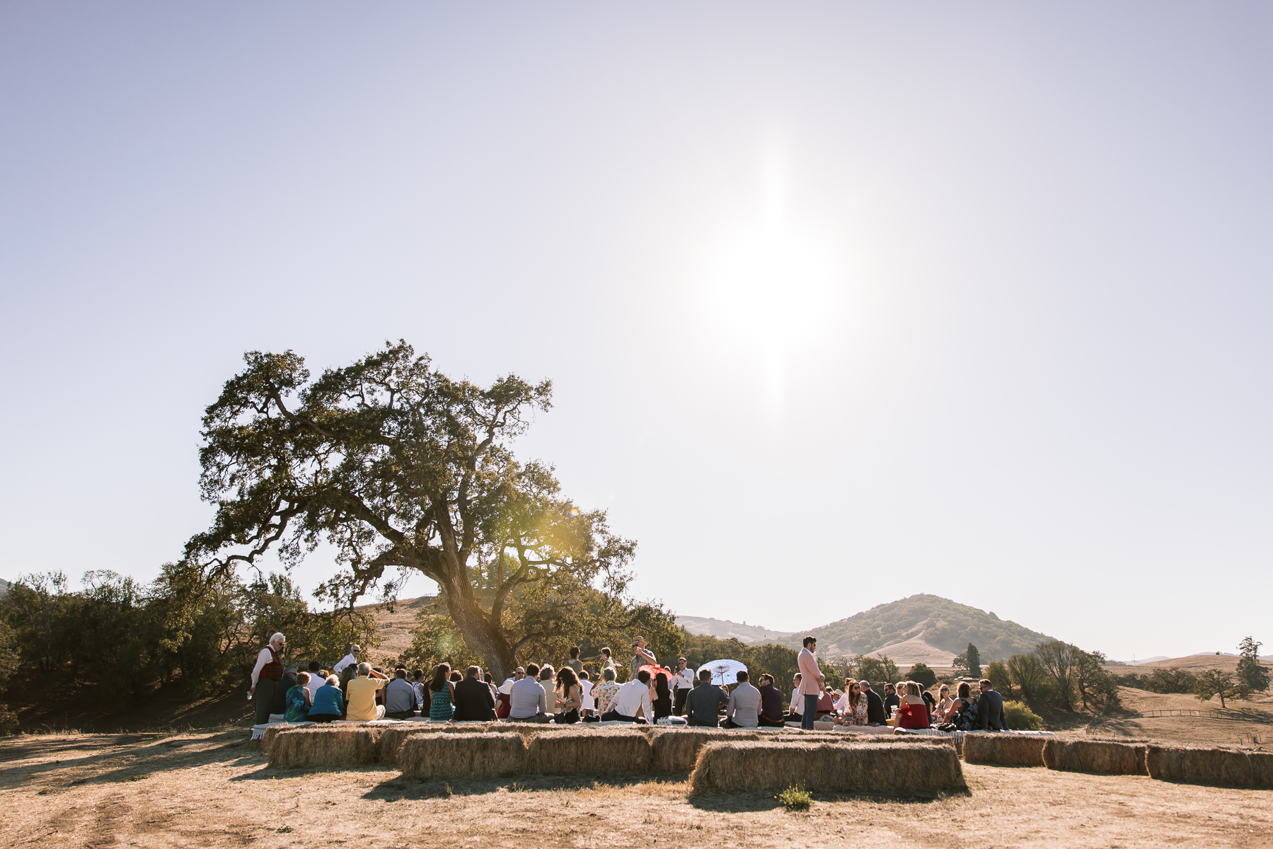 Monkey-ranch-petaluma-golden-hills-wedding-49