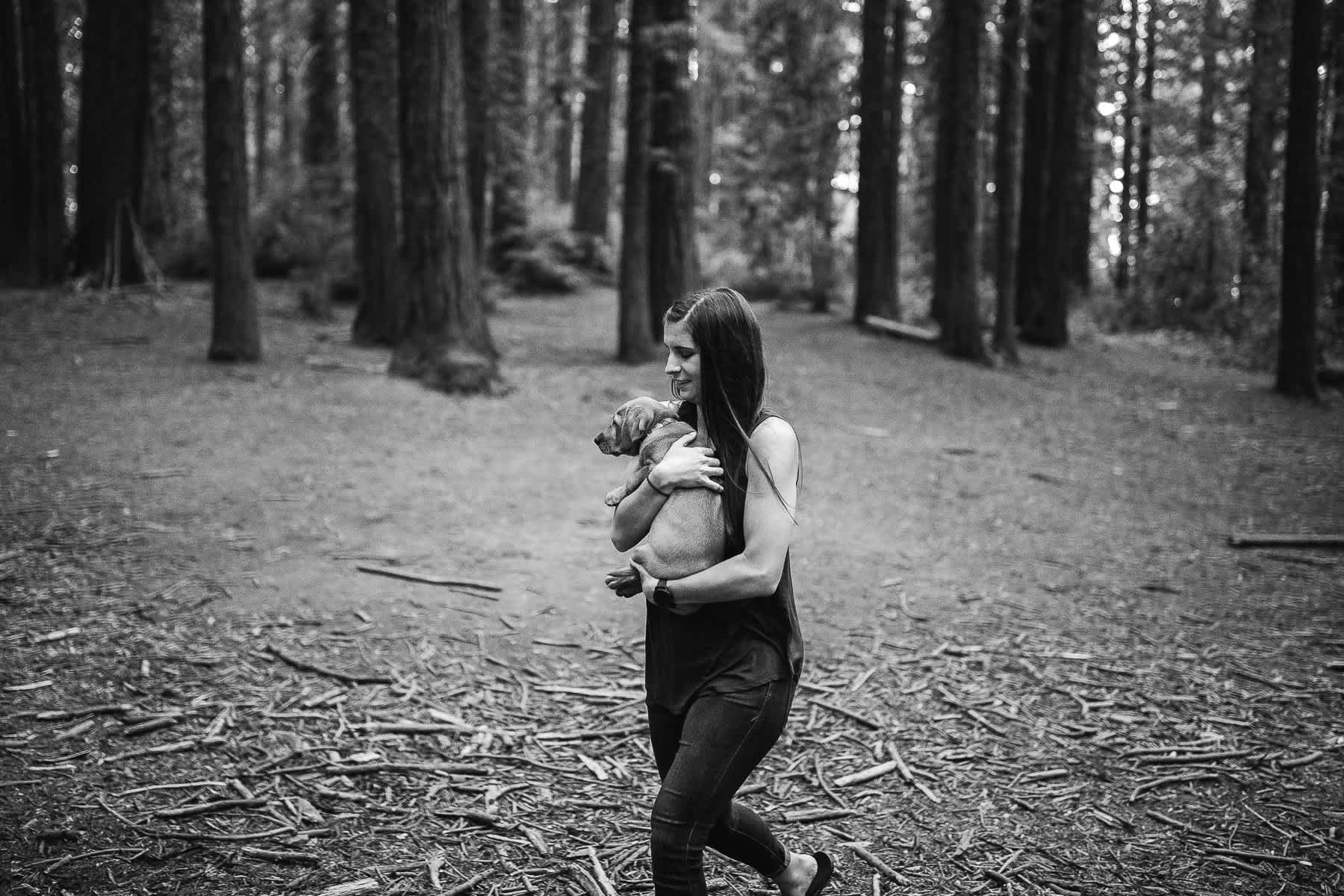 oakland-redwoods-new-puppy-session-labrador-32
