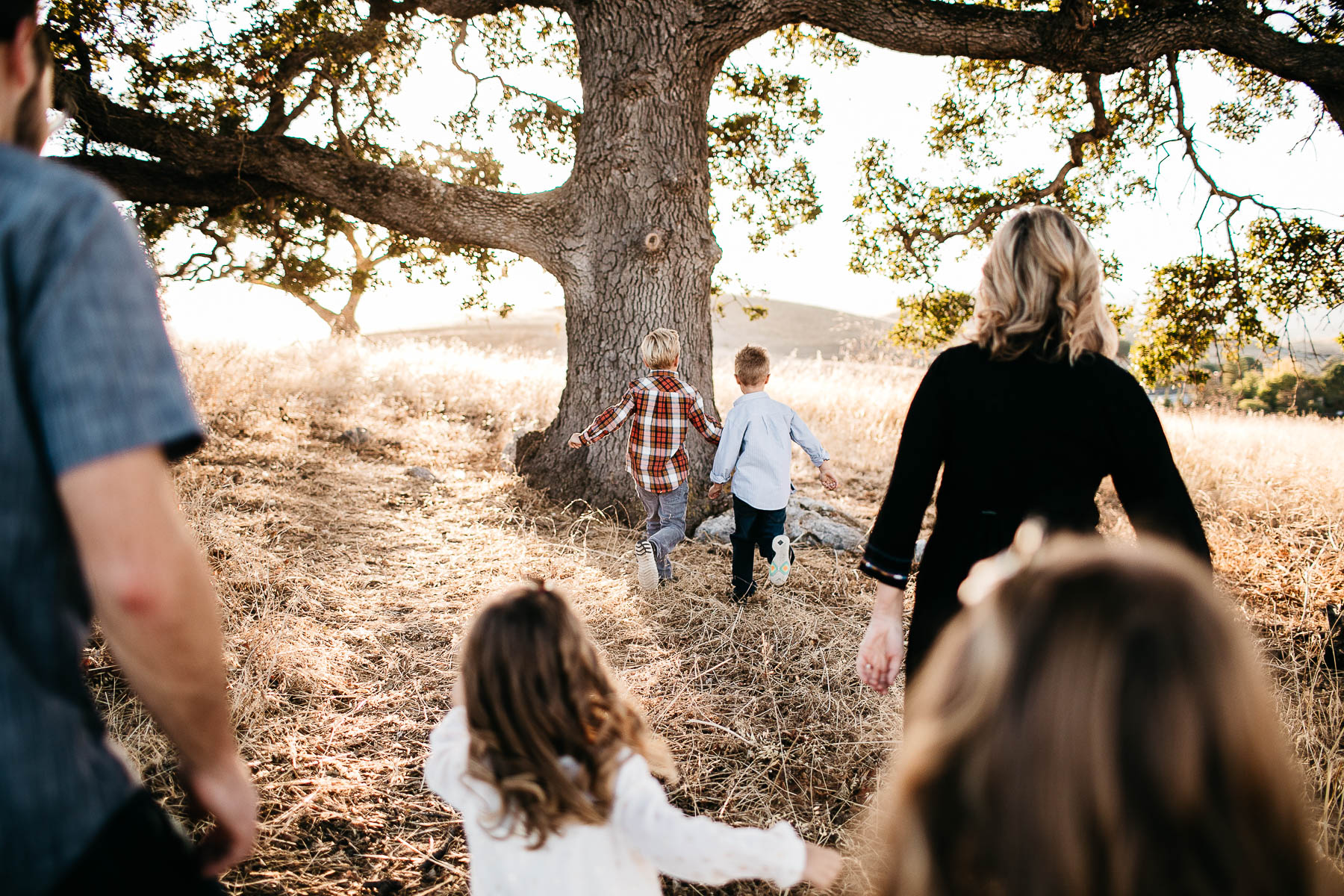 concord-golden-hill-california-fall-lifestyle-session-6