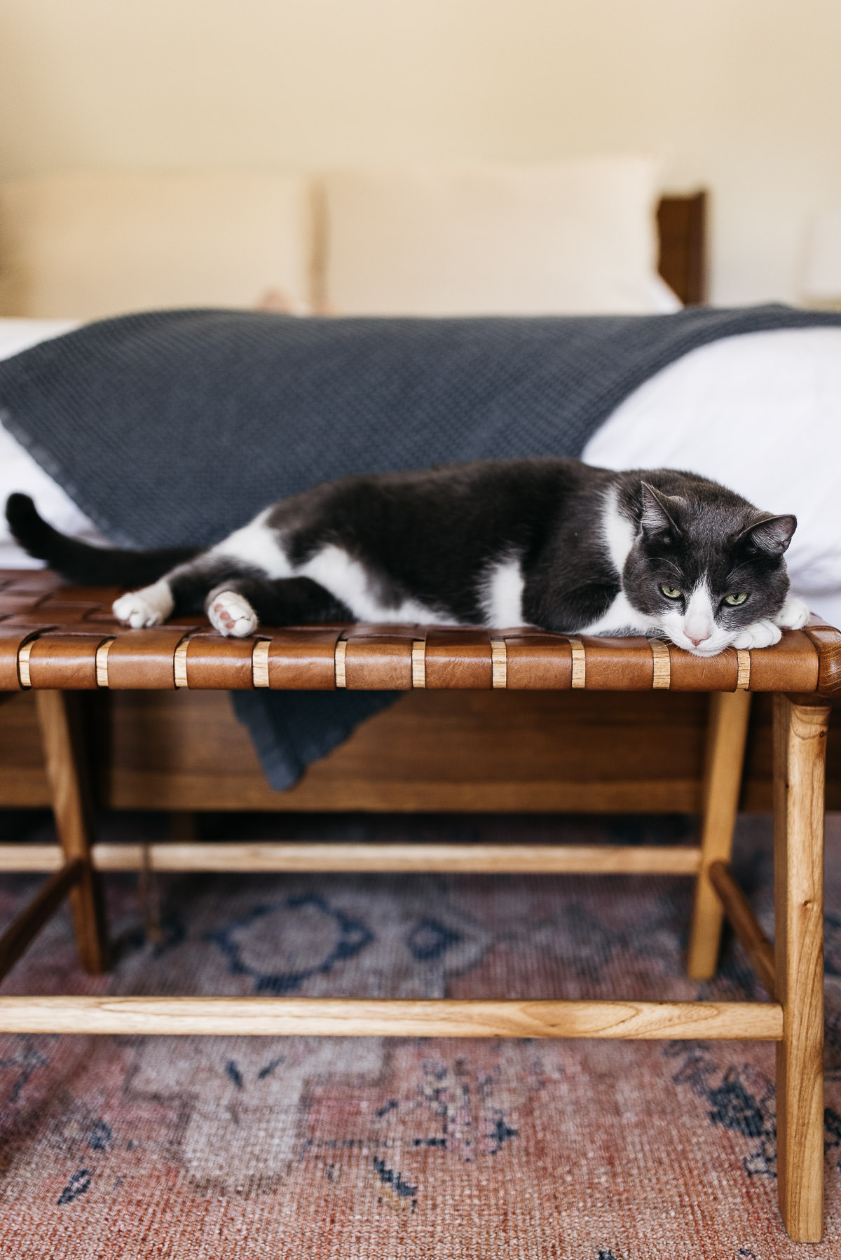 mountain-view-in-home-lifestyle-newborn-session-25