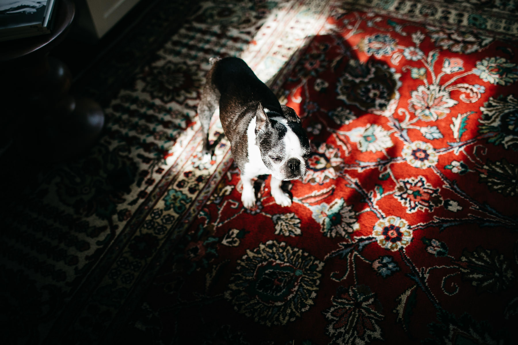 oakland-family-lifestyle-in-home-session-35