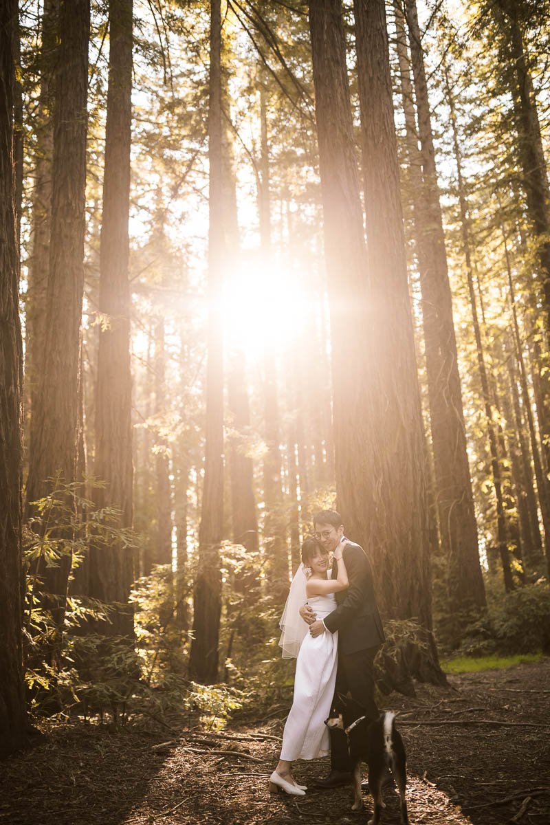 sf-city-hall-redwoods-elopement-shiba-71