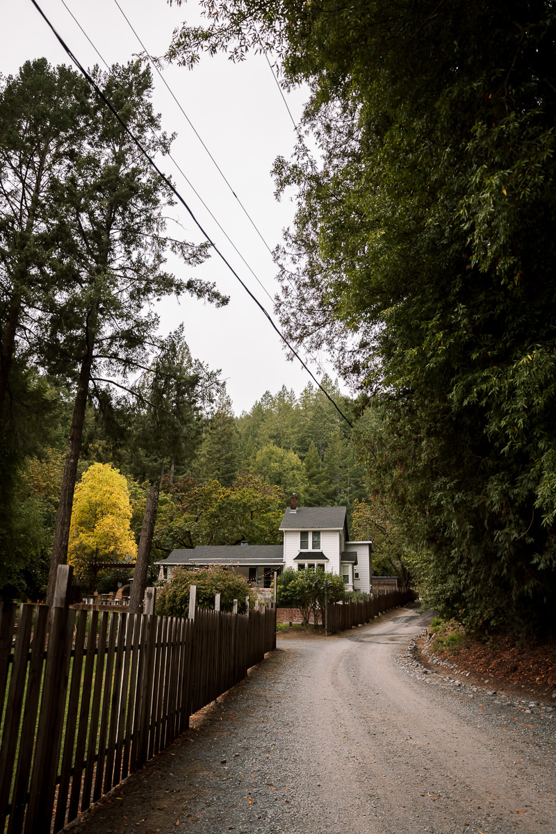 mendocino-coastal-intimate-wedding-day-1