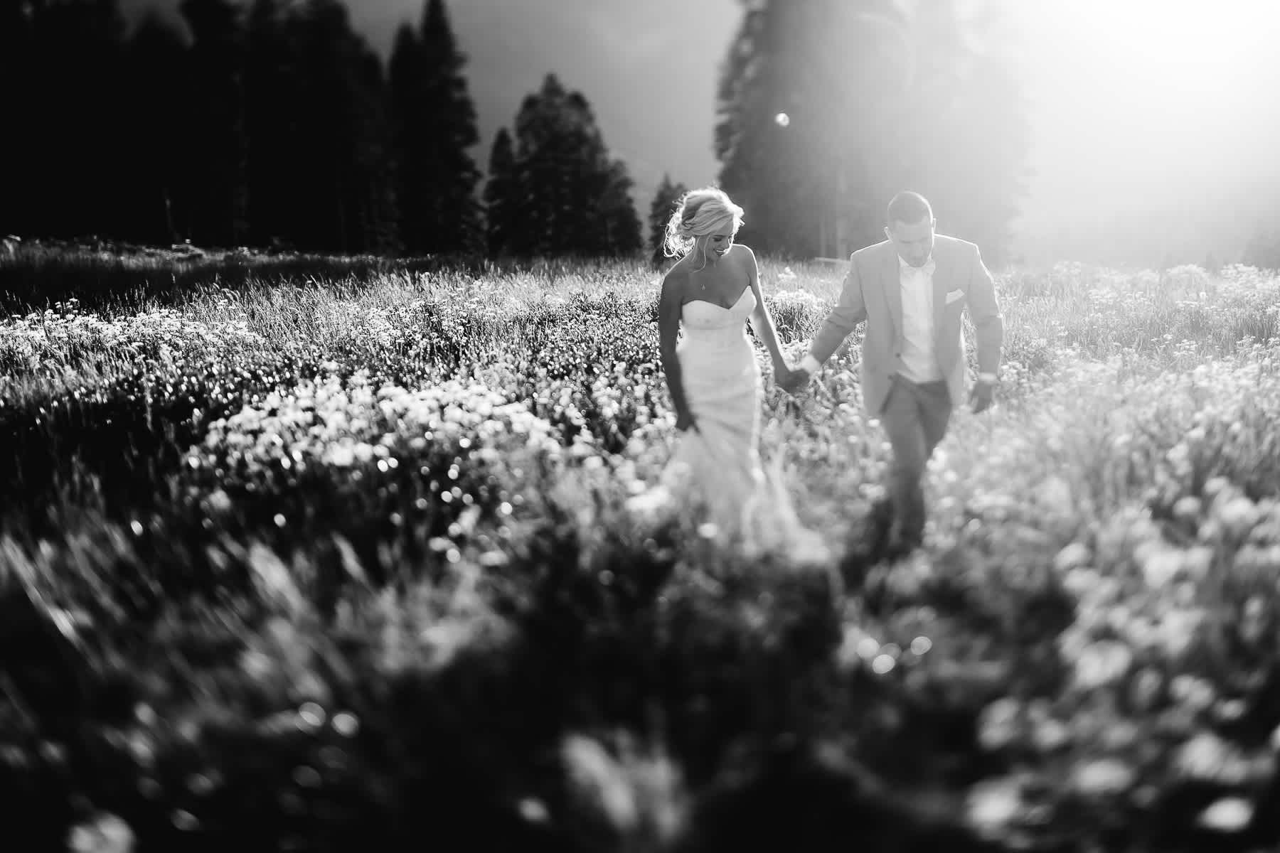 zephyr-lodge-summer-mountain-top-wedding-131
