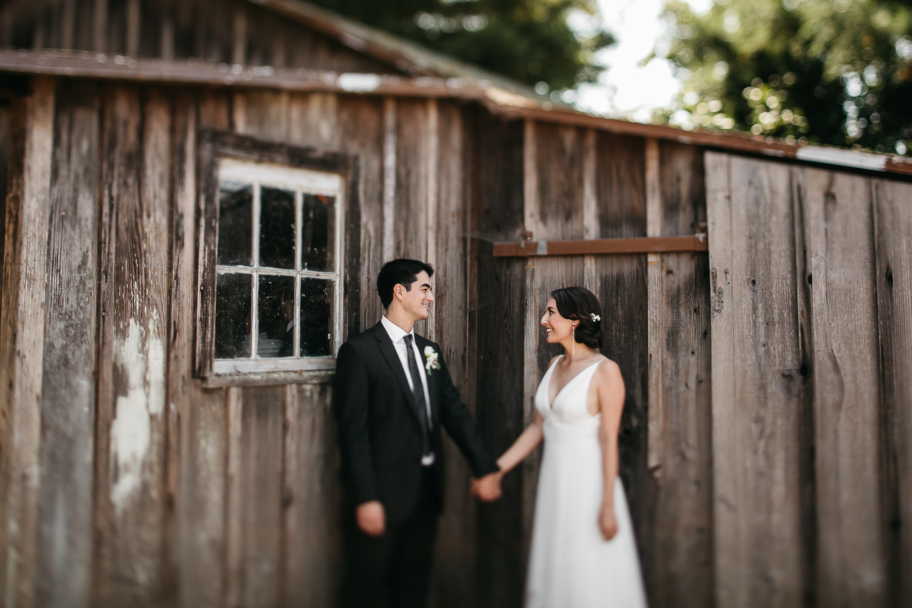 sebastopol-ca-summer-wedding-42
