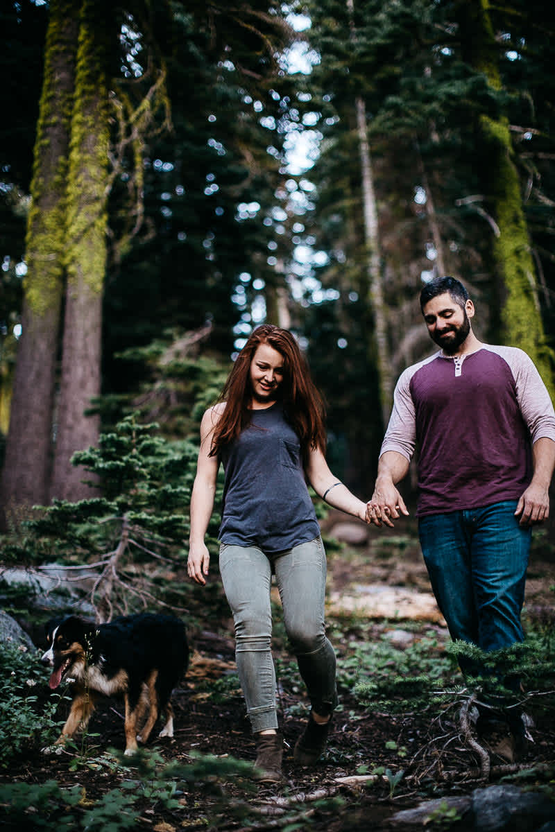 lake-tahoe-forest-donner-sunset-couple-session-10