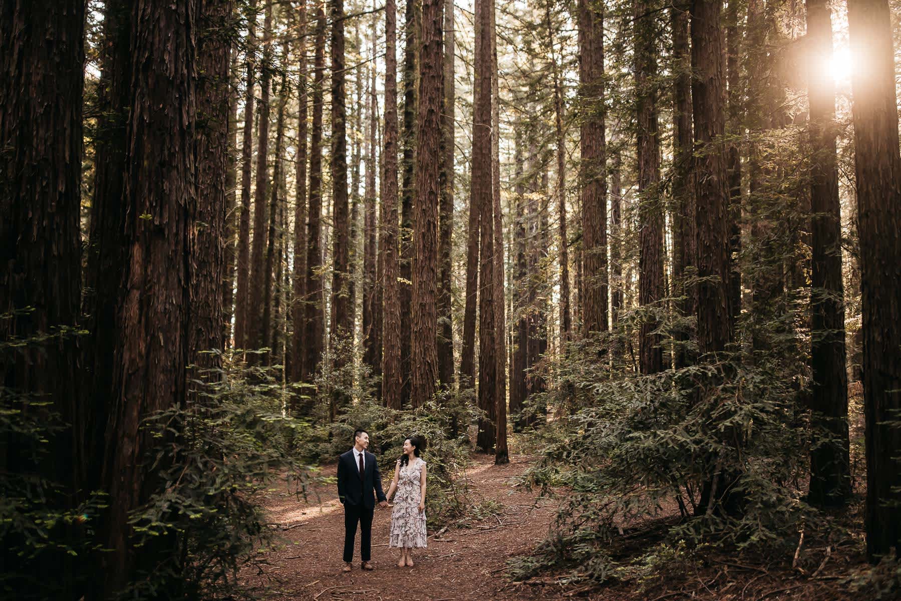 redwoods-coastal-pampas-grass-lifestyle-engagement-session-with-pups-17