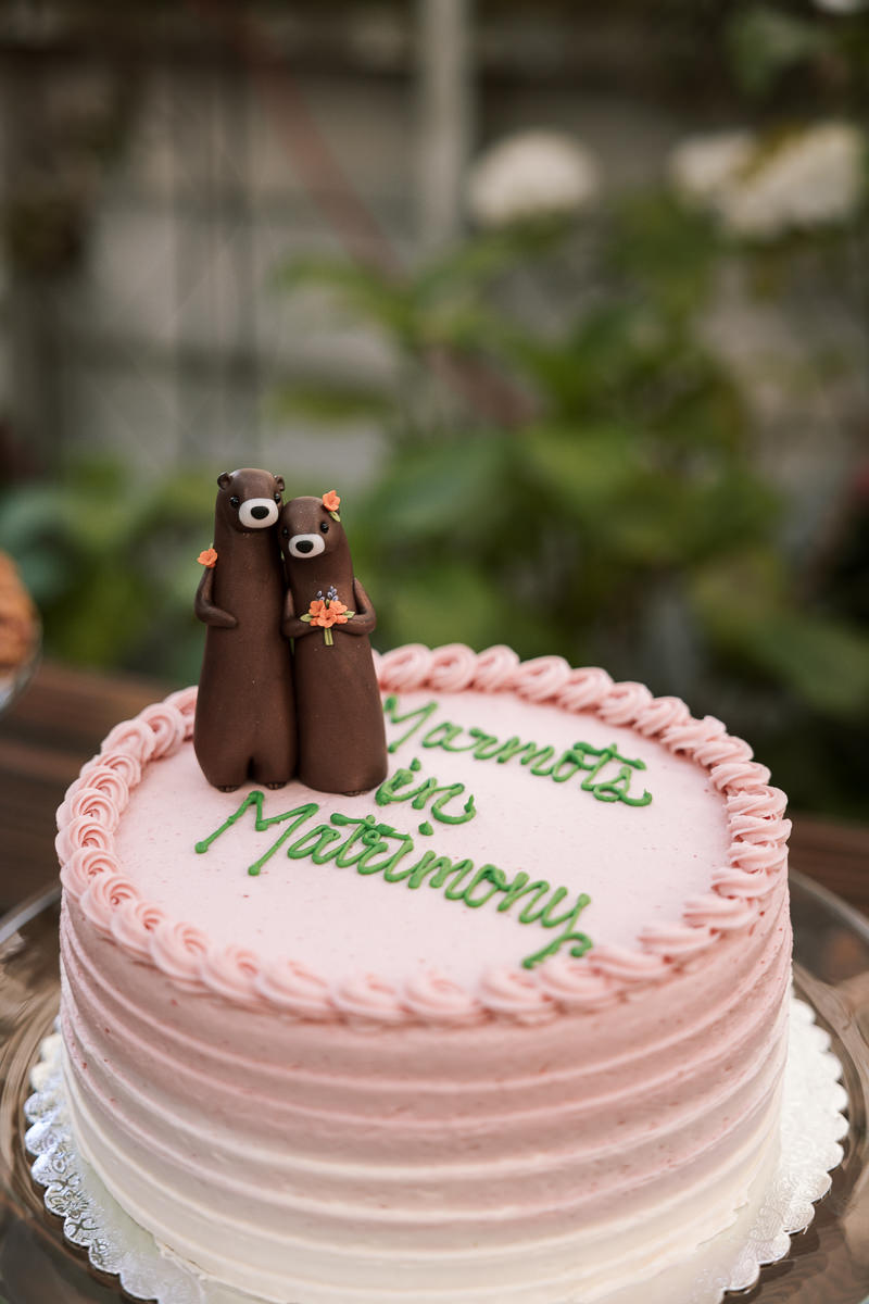 Pacifica-shelldance-orchid-gardens-summer-wedding-153