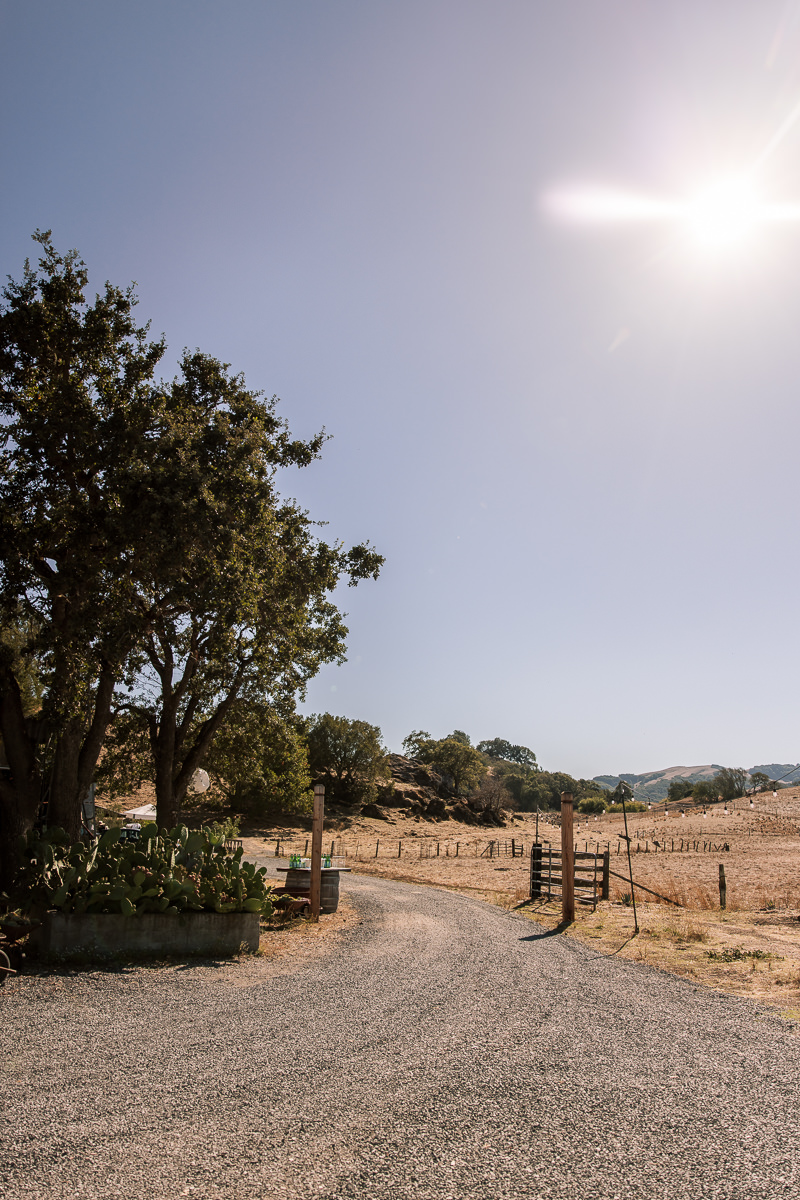 Monkey-ranch-petaluma-golden-hills-wedding-38