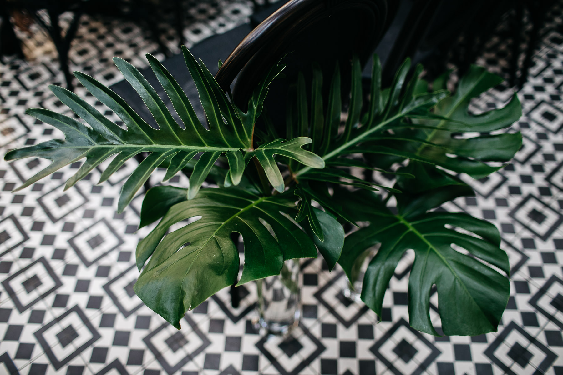 long-beach-ebell-leafy-green-wedding-95