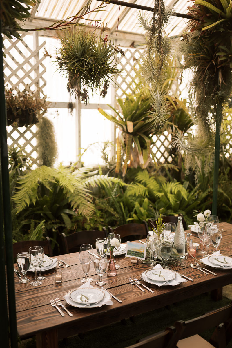 Pacifica-shelldance-orchid-gardens-summer-wedding-124