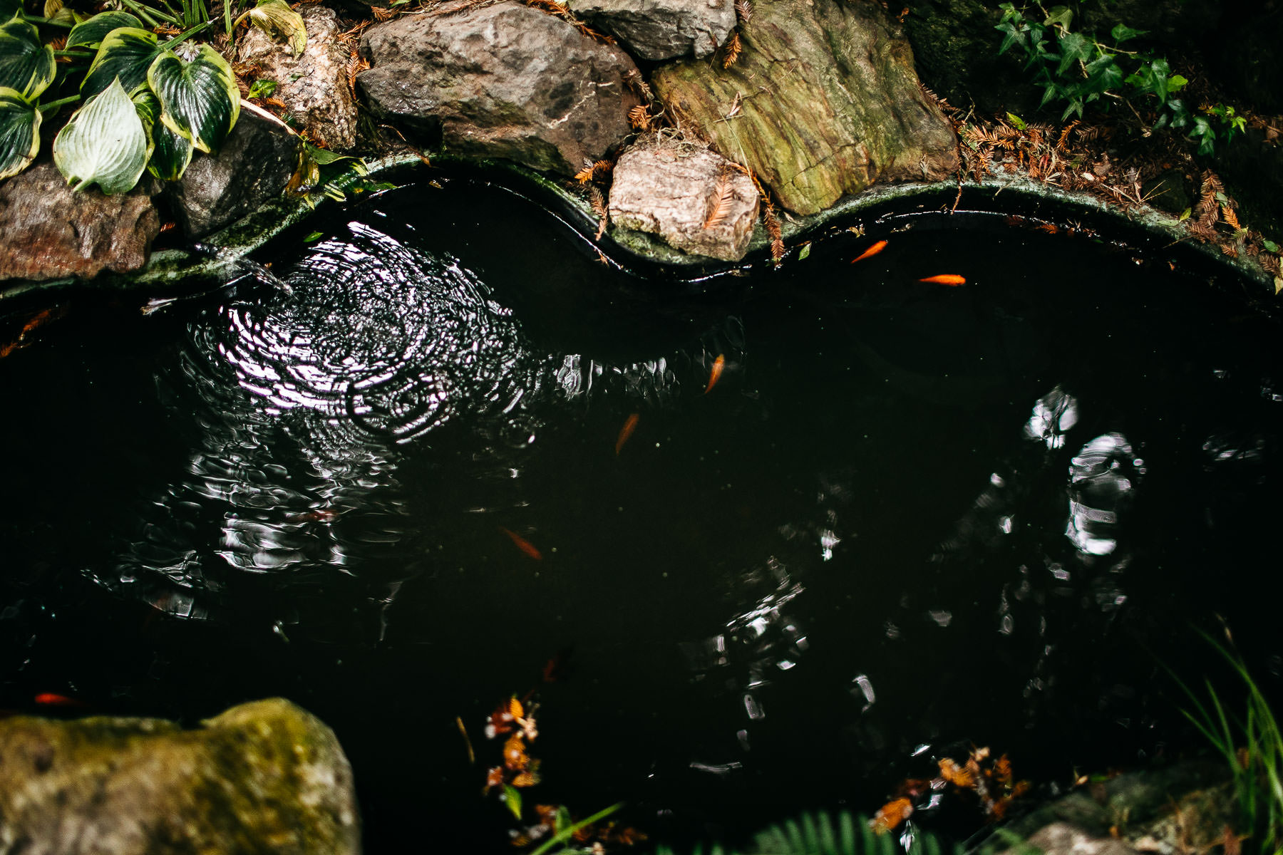 bodega-bay-secret-garden-gloomy-fall-wedding-59