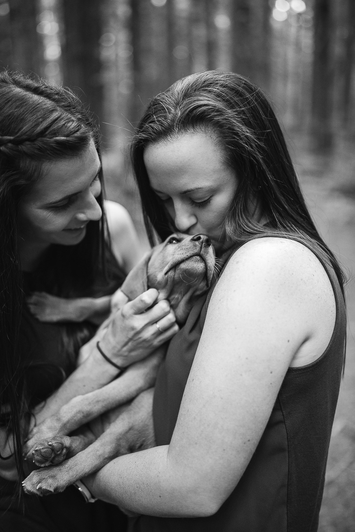 oakland-redwoods-new-puppy-session-labrador-20