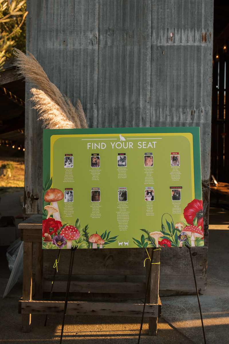 Monkey-ranch-petaluma-golden-hills-wedding-92