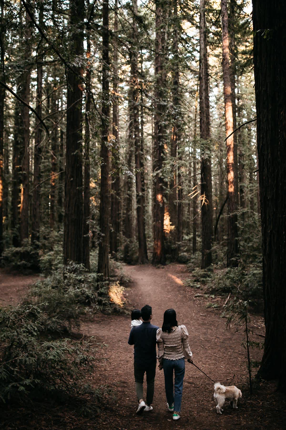 oakland-redwoods-lifestyle-first-birthday-session-11