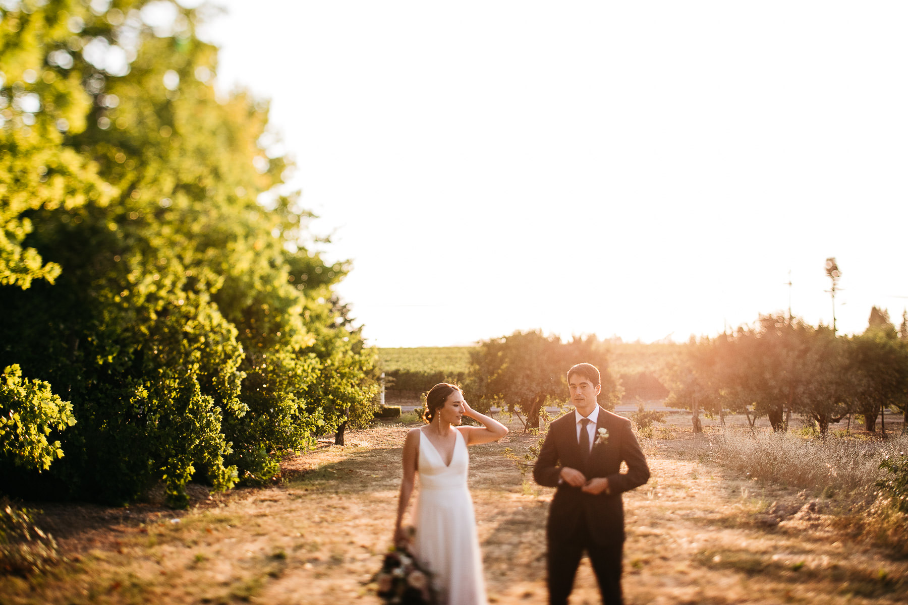 sebastopol-ca-summer-wedding-113