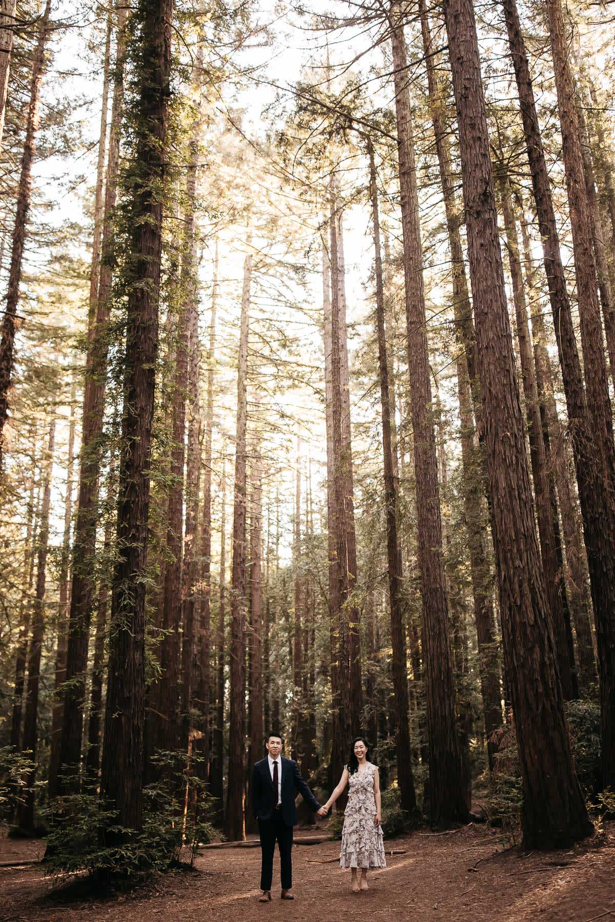 redwoods-coastal-pampas-grass-lifestyle-engagement-session-with-pups-19