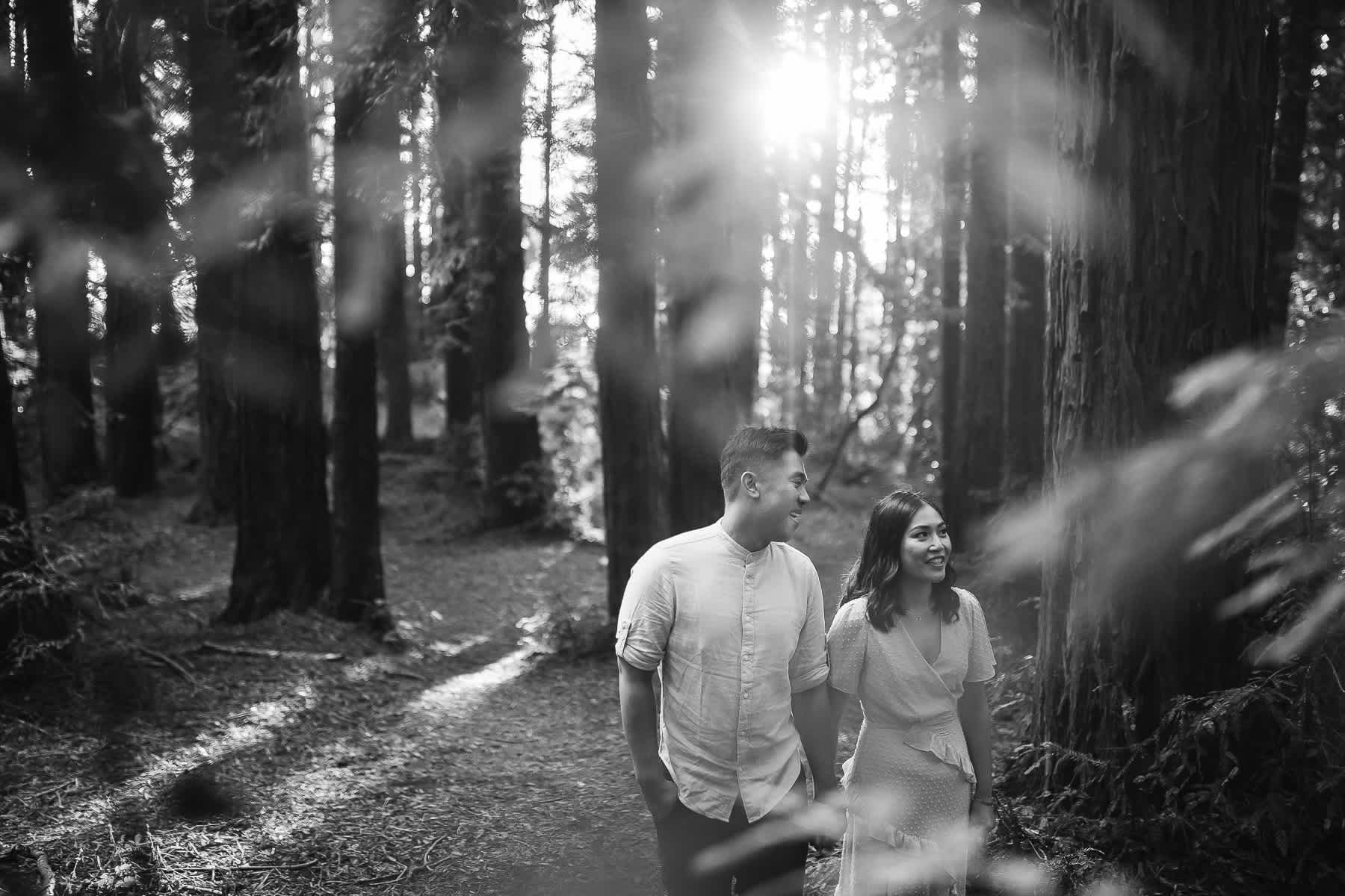 oakland-redwoods-fall-golden-light-engagement-session-18