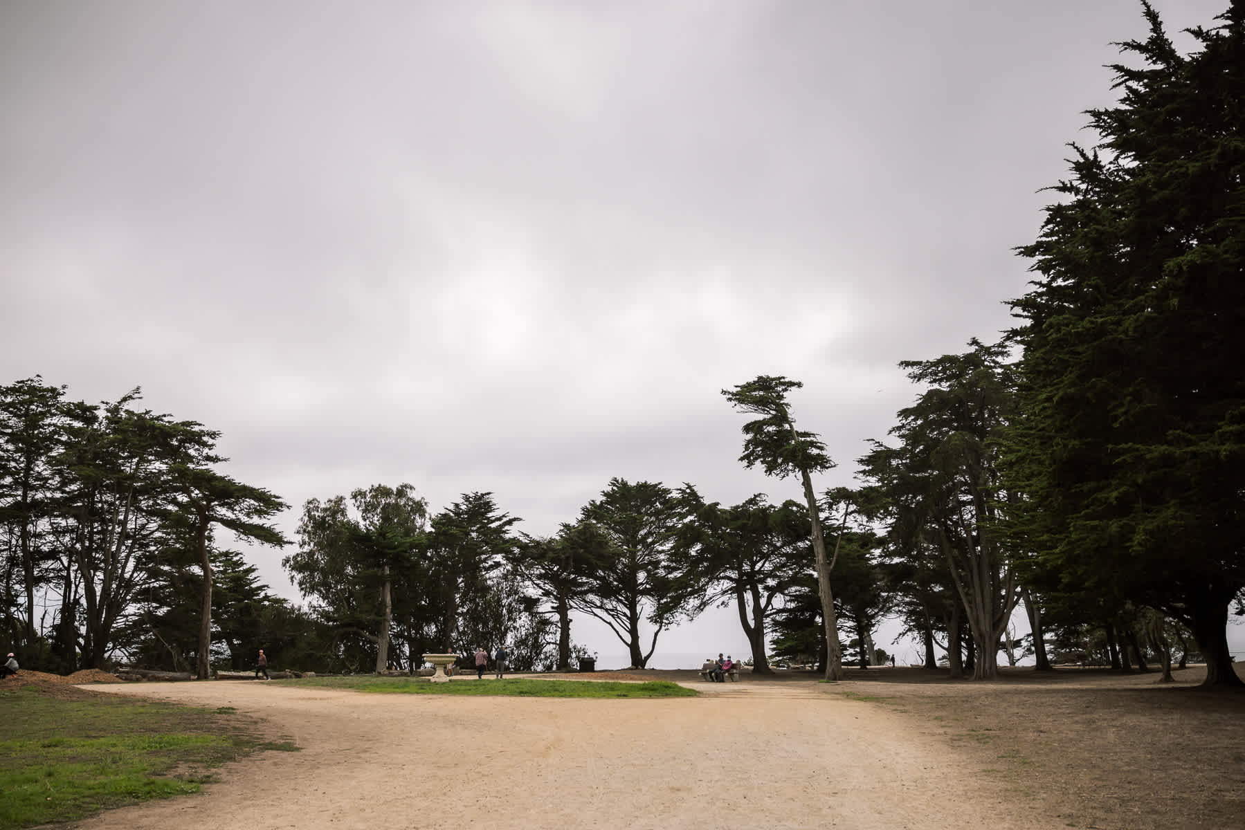 san-francisco-presidio-urban-wedding-trolley-ride-63