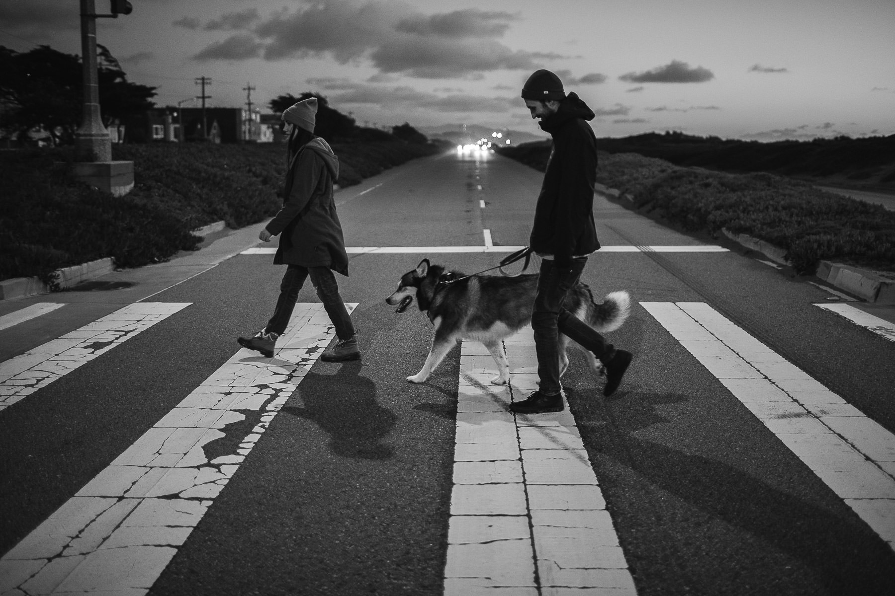 ocean-beach-sf-malamute-couple-session-golden-light-39