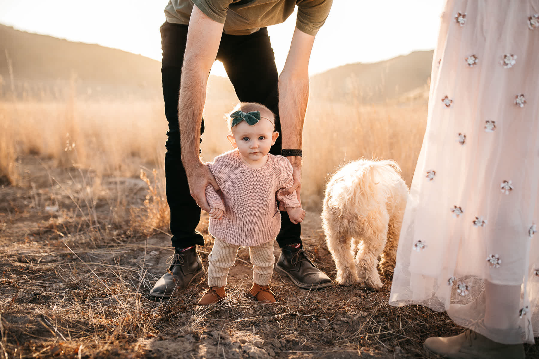 golden-hills-sunset-lifestyle-session-family-with-goldendoodle-17
