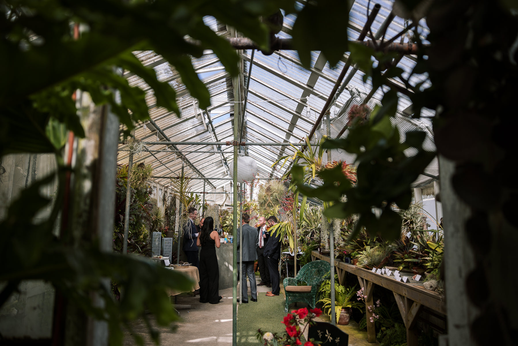 Pacifica-shelldance-orchid-gardens-summer-wedding-110