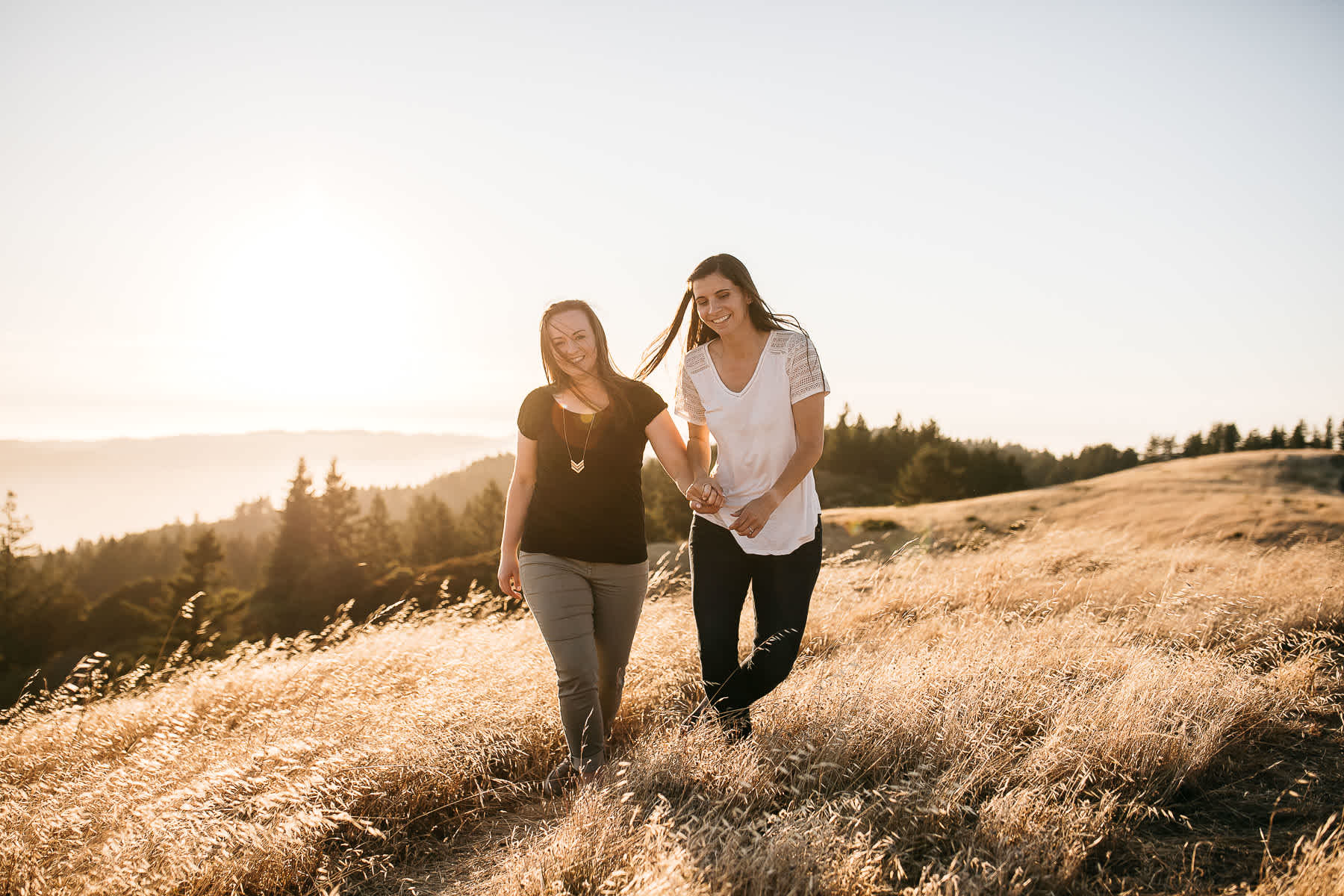 mt-tam-sunset-engagement-session-with-boxer-lab-dogs-33